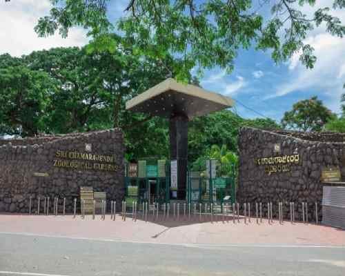cabs-for-mysore-zoo