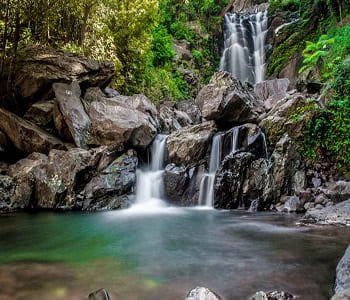 7 Days Chikmagalur Honeymoon Special