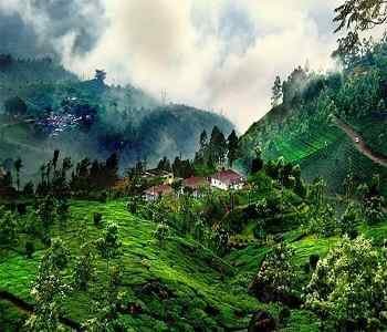Mysore-to-Coorg-Six-Day-Trip