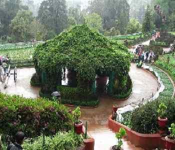 botanical-garden-ooty