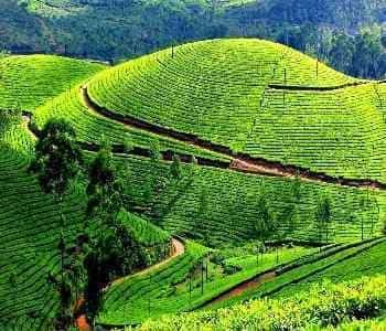 2 Days Mysore to Ooty Taxi
