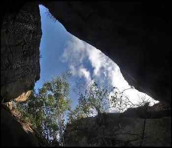 Mysore-to-wayanad-Eight-Day-Trip