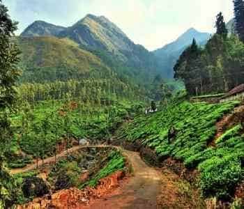 2 Days Mysore to Wayanad Taxi